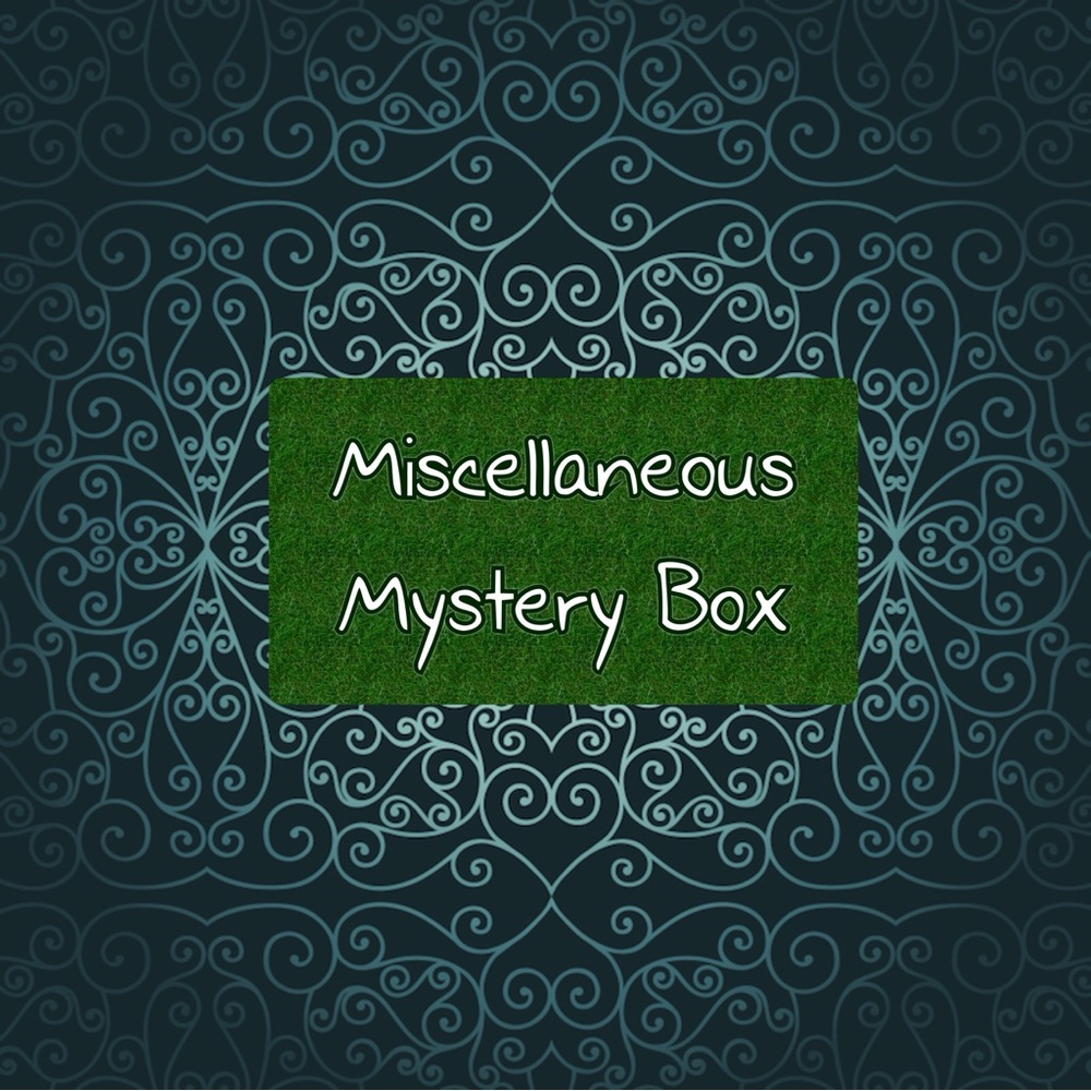 Miscellaneous Mystery Box- Keep or Sell